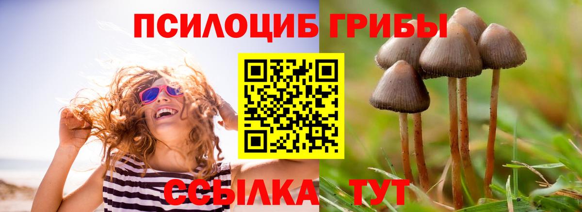 Ахтубинск  Галлюциногенные грибы Cubensis  Вход с VPN  Галлюциногенные грибы Psilocybe 